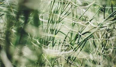 Öz əllərinizlə bir amulet etmək necə